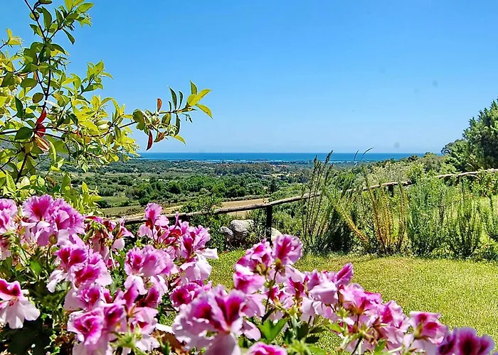 Li Teggi Turismo Rurale San Teodoro 