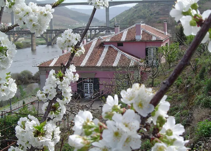Casa Dos Varais, Manor House Lamego