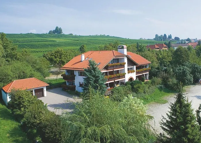 Hotel Alpina Hagnau am Bodensee