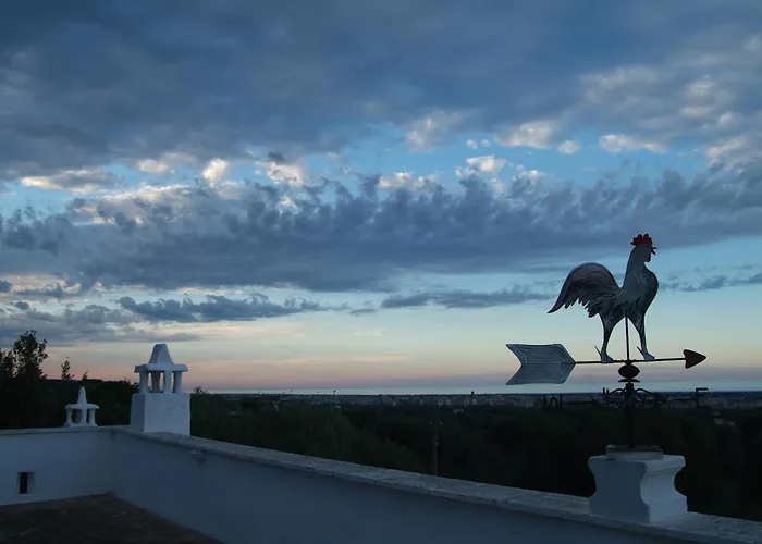 Masseria Trotta B&B Fasano