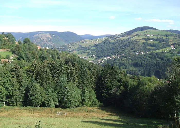 Bed and Breakfast La Ferme du Vieux Sapin à La Bresse