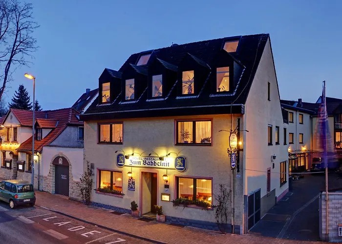 Hotel-Restaurant Zum Babbelnit Magonza