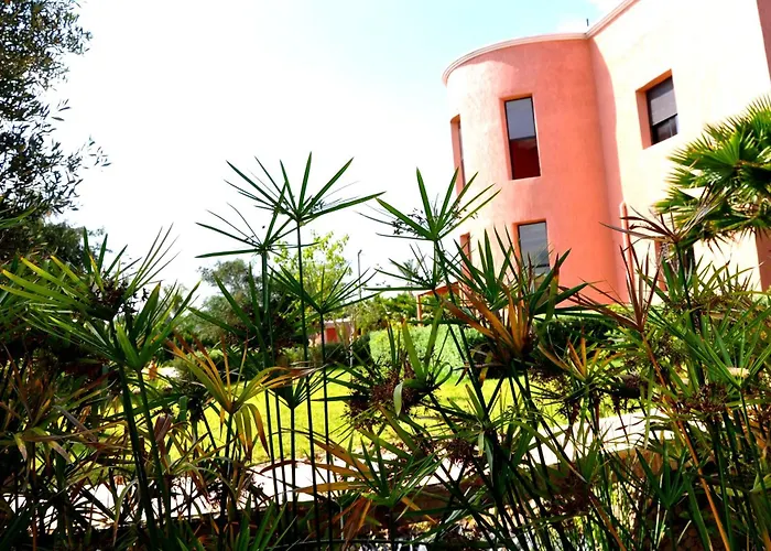 Riad Hamdani Derroua