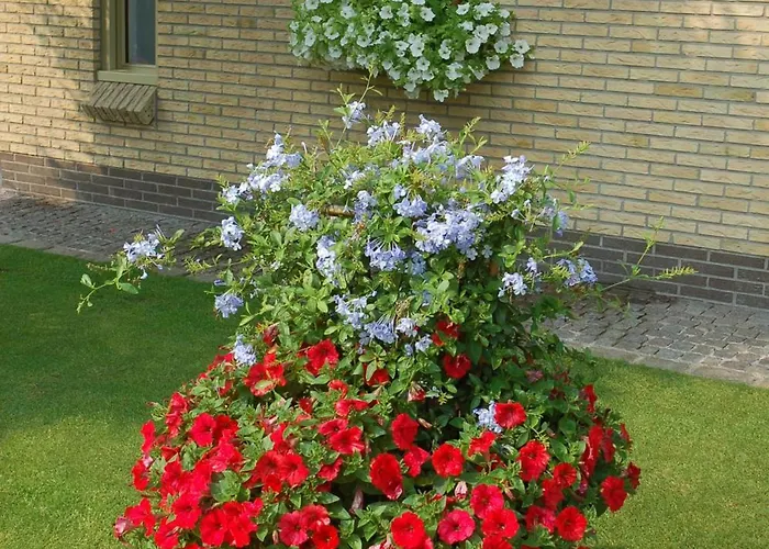 B&B Bloemenweelde Courtrai