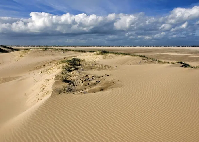 Ara Dune Hotel