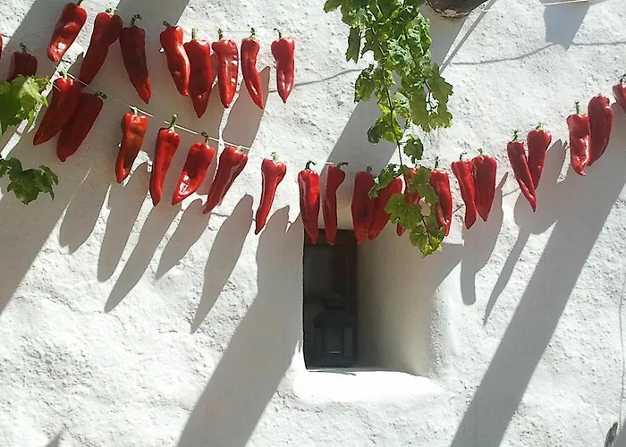 Hotel Rural Cortijo La Alberca Níjar