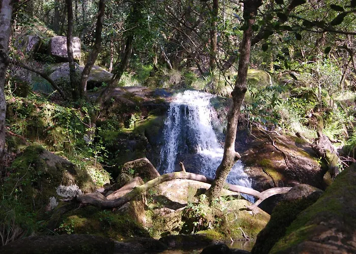 Hotel Carvalho Araujo Gerês
