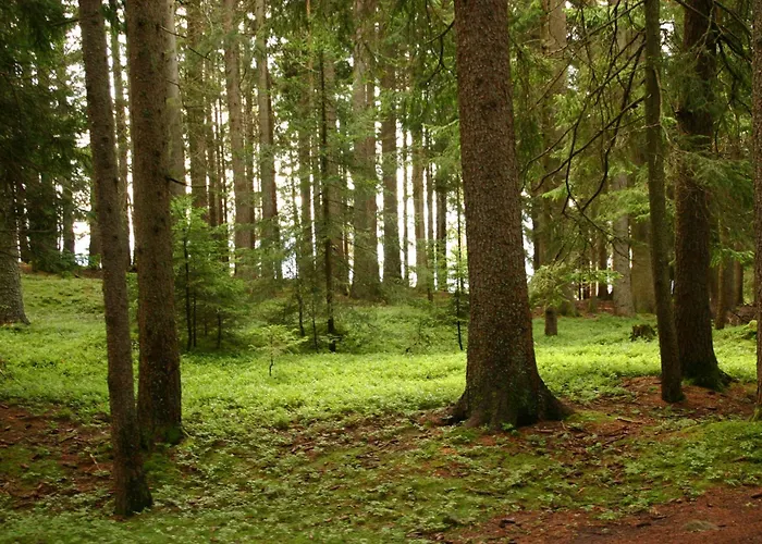 Panoramapension Etschblick Meltina
