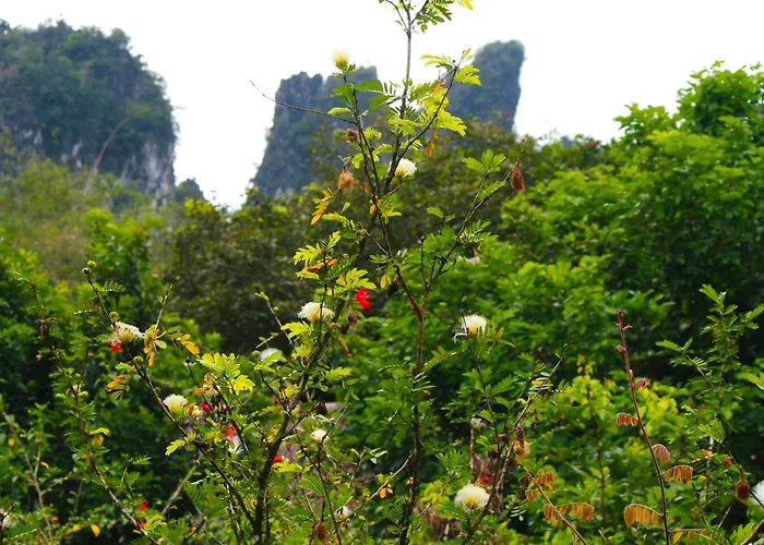 Khao Sok Morning Mist Resort Khao Sok National Park