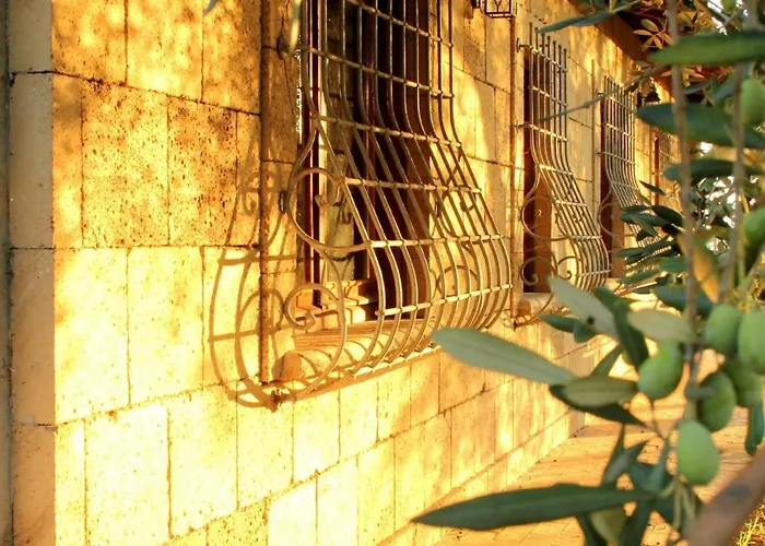 Al Vecchio Fontanile B&B Ladispoli