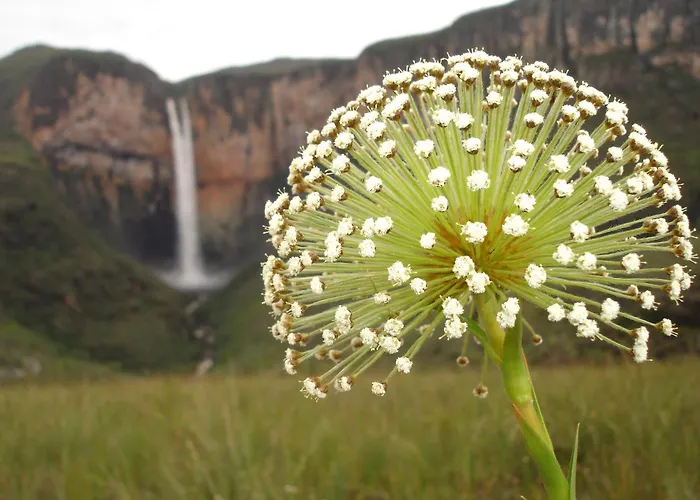 Pousada Tabuleiro Eco Conceição do Mato Dentro