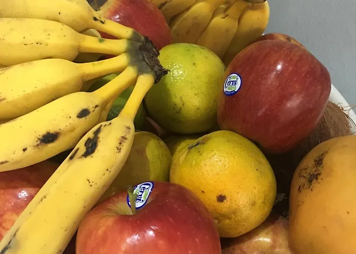 Hotéis de Penha (Santa Catarina)