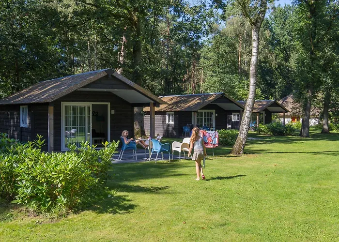 Molecaten Park De Leemkule