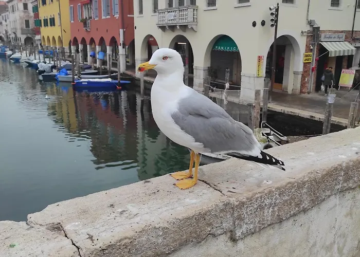 Bed and Breakfast Ca' dell'Angelo Chioggia