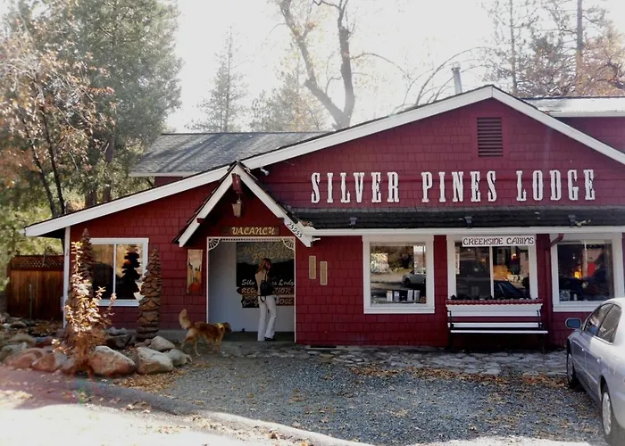 Silver Pines Lodge Idyllwild