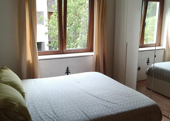 Central Greenlife Tarvisio