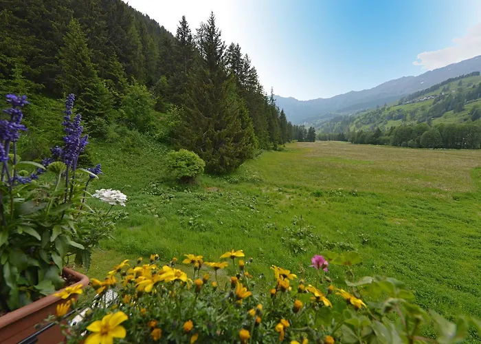 Hotel Le Petit Abri Champoluc