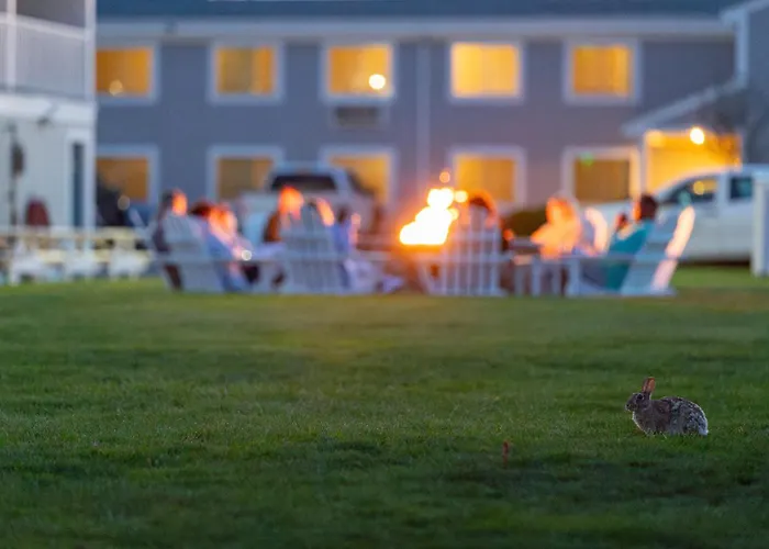 Innseason Resorts Surfside Falmouth