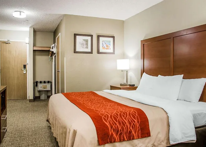 Comfort Inn Idaho Falls