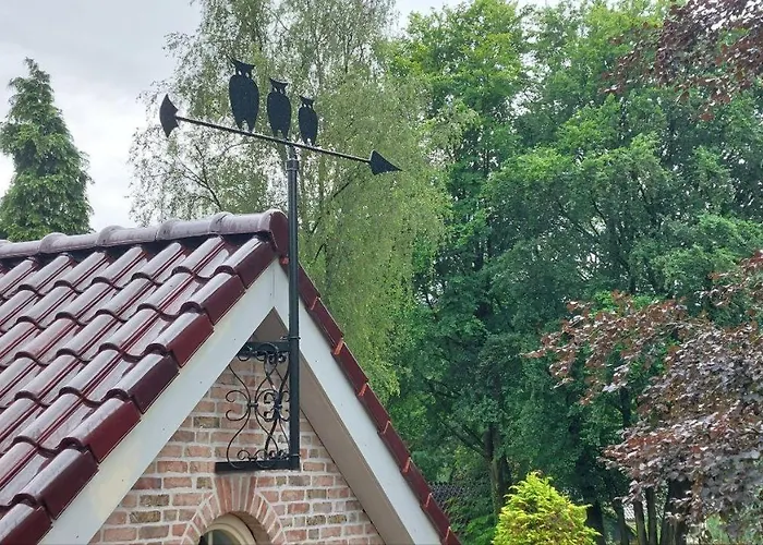 B&B De Drie Uiltjes Epe