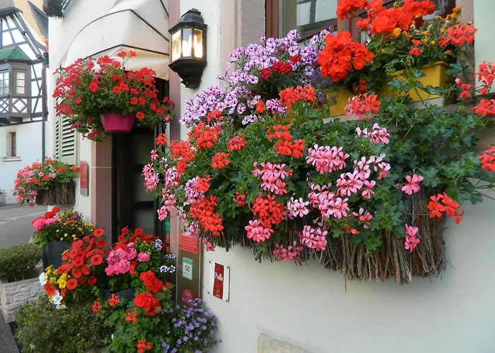 L'Hostellerie du Château Eguisheim
