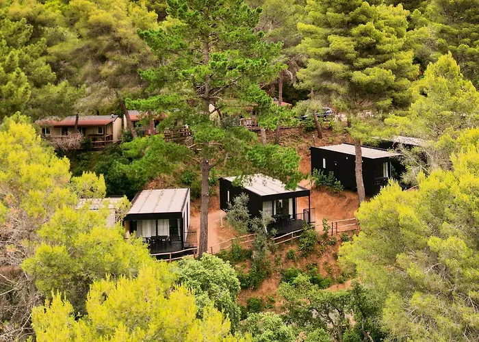 Hotel Camping Le Pianacce Castagneto Carducci
