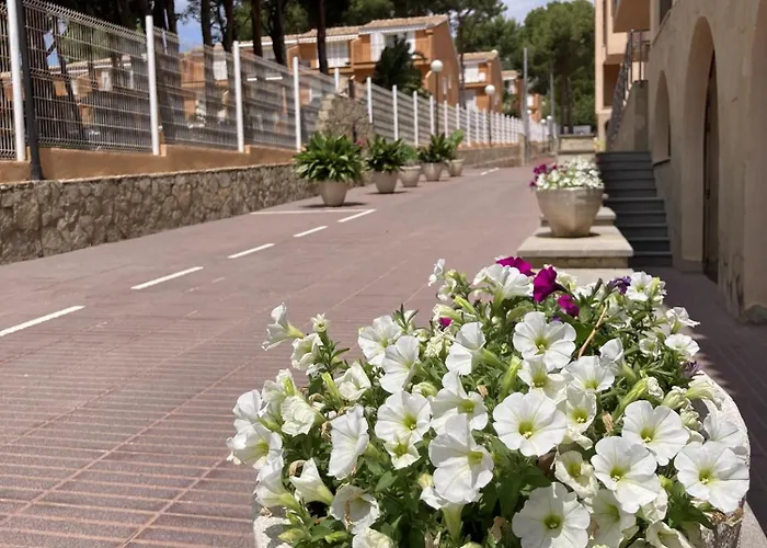 Hotel Sancho III Alcossebre