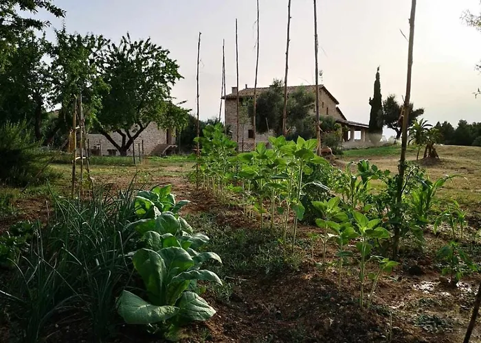 Casa rural restaurante Mas Del Rei Calaceite