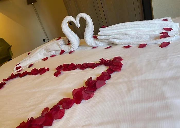 Lace Hotel Brujas