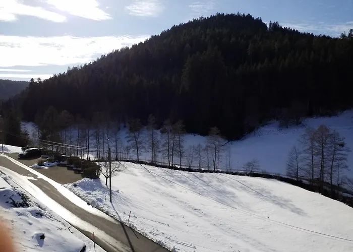 Hotels in Baiersbronn
