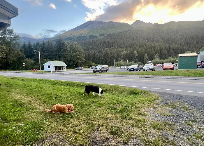 Marina Motel Seward