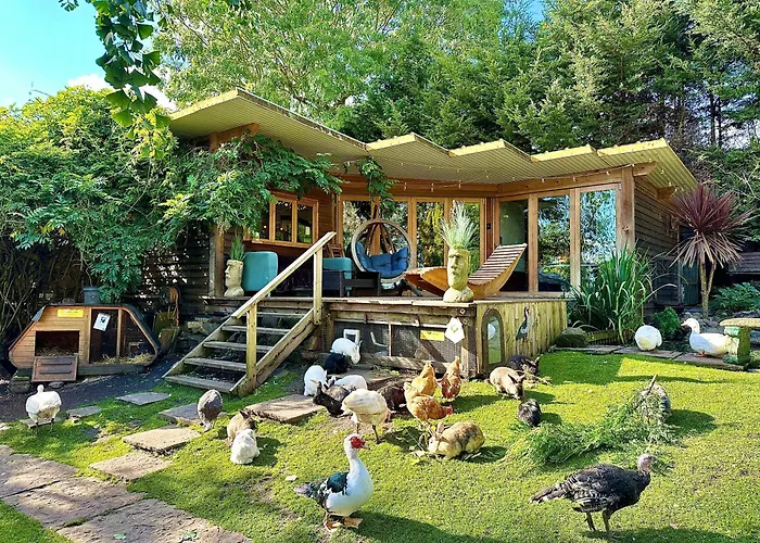 The Base Vegan Retreat Animal Sanctuary Hotel Warmley