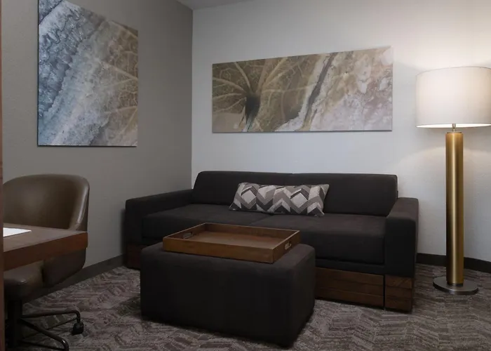 Springhill Suites By Marriott Orlando At Flamingo Crossings Town Center-Western Entrance Four Corners