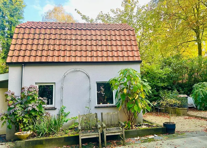 In De Aap Gelogeerd