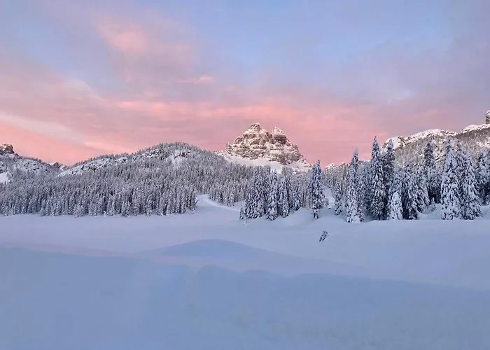 Hotel Dolomiti Des Alpes Misurina