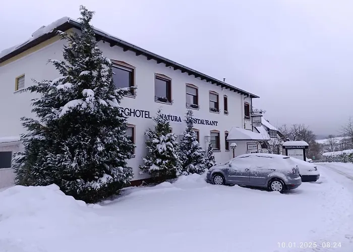 Berghotel Natura Bed & Breakfast Winterberg