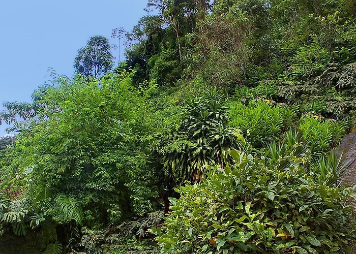 Pousada Villa Provence Petrópolis