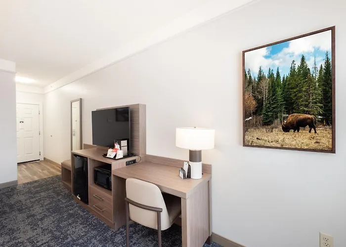 Surestay Plus Hotel By Best Western Billings