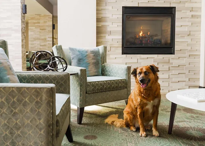 Homewood Suites By Hilton Providence-Warwick