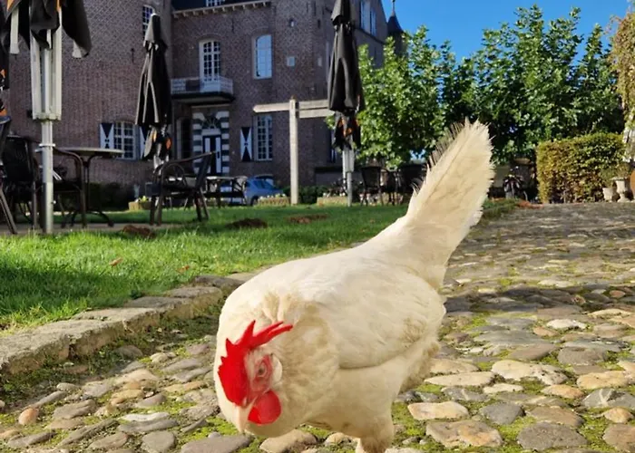 Kasteel Aldenghoor Bed and Breakfast Haelen