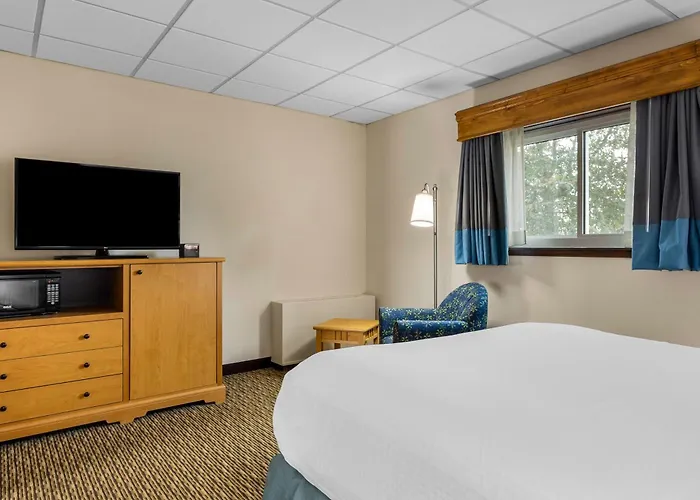 Best Western Lee'S Motor Inn
