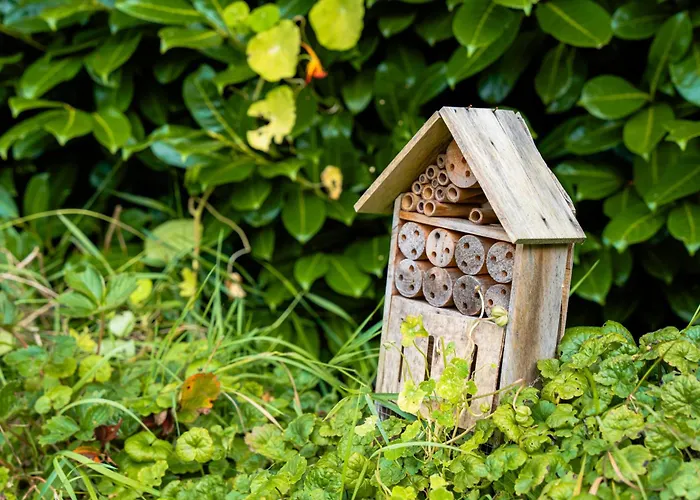 B&B Het Wellnest Hulshorst