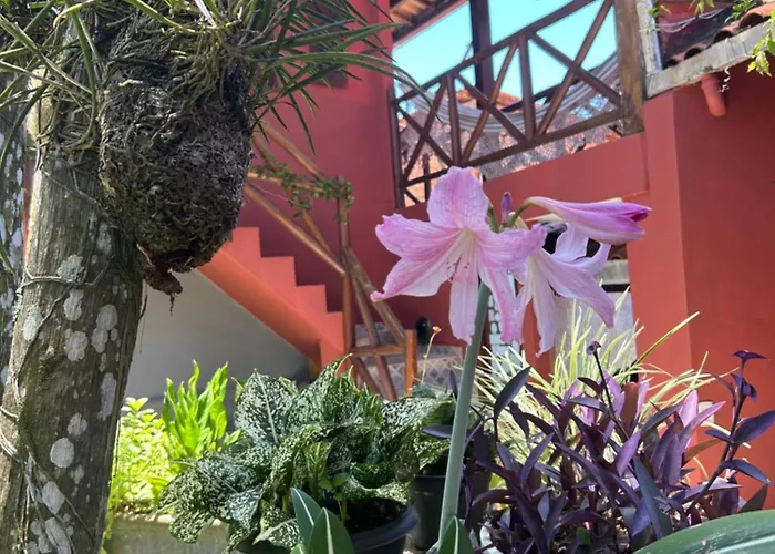 Pousada Estrela Itacaré
