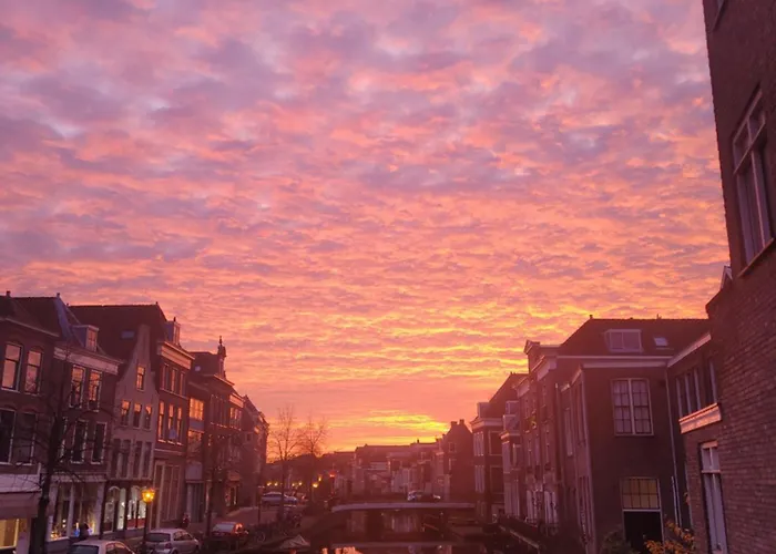 Het Waterhof Bed and Breakfast Leiden
