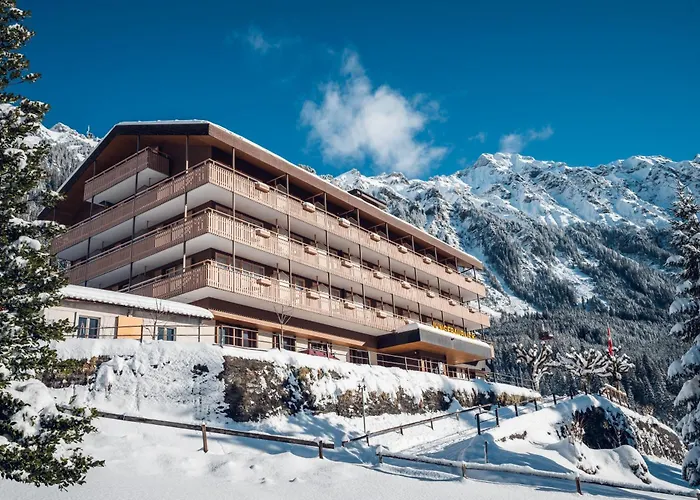 Wengen Hotels