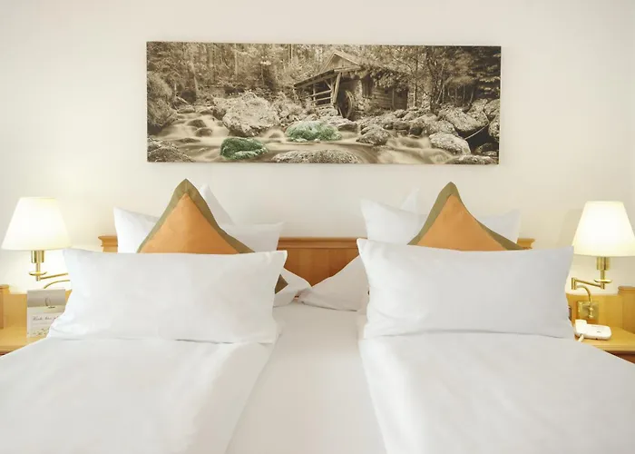 Sonnenhof Resort Bayerischer Wald Lam