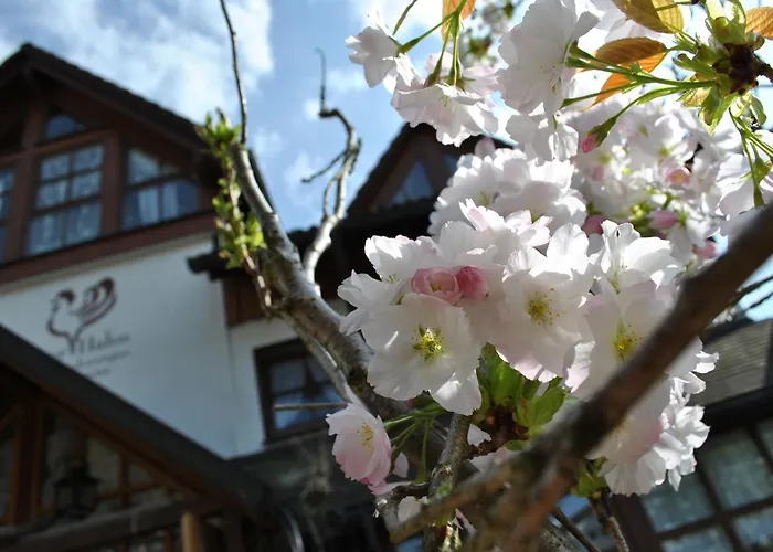 B&B Apart Hotel Goldener Hahn - Hygge Pool & Sauna