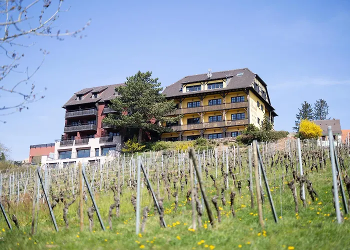 Hôtel Arnold Itterswiller
