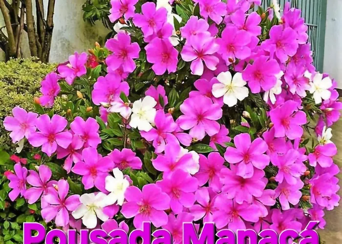 Pousada Manacá São José do Rio Pardo