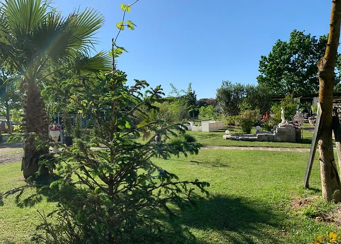 Hotels in Marina di Grosseto